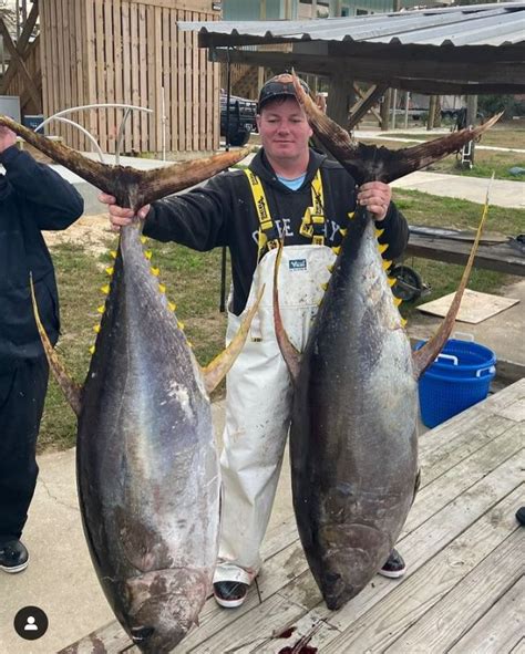 Yellowfin Tuna Fishing: The Thrill of the Chase