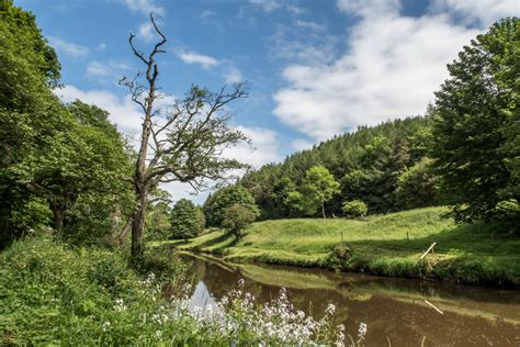 Solve River Esk Near Beggar S Bridge N Yorkshire Jigsaw Puzzle Online