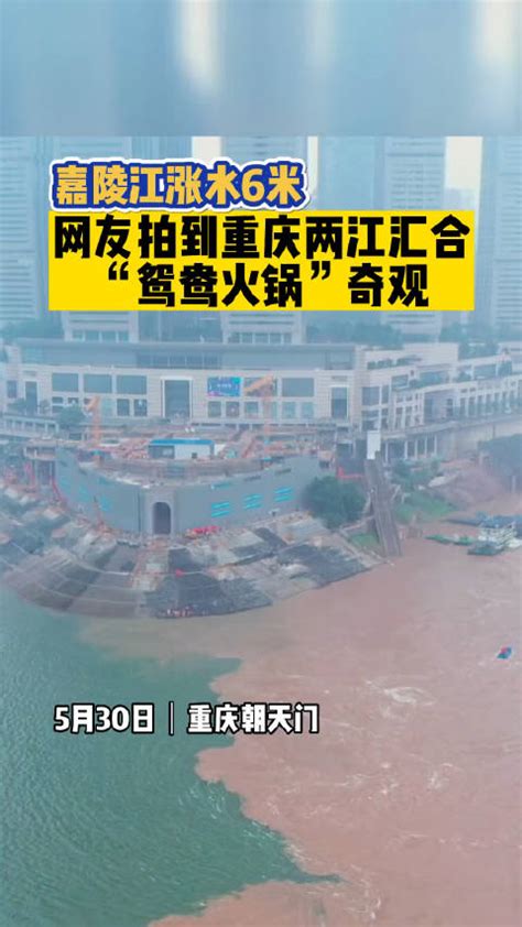 近日，重庆嘉陵江涨水，朝天门两江交汇处再现鸳鸯锅奇观朝天门嘉陵江重庆市新浪新闻