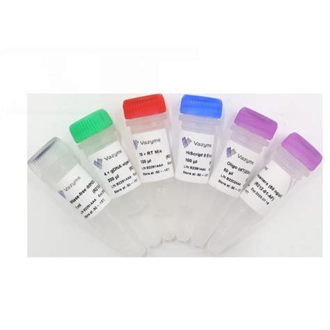 HiScript II 1st Strand CDNA Synthesis Kit GDNA Wiper R212 Vazyme