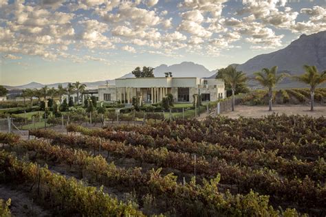 Tashas Groups partners with MMI to launch quarterly wine pairing series