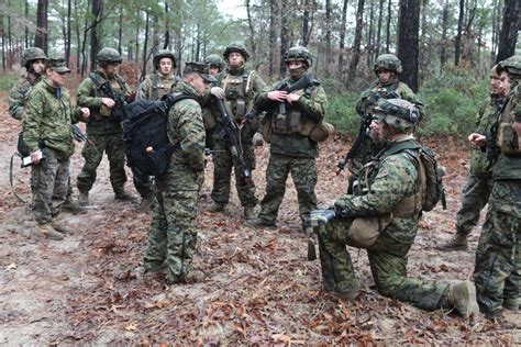 Dvids Images Th Engineer Support Battalion Conducts Dismounted