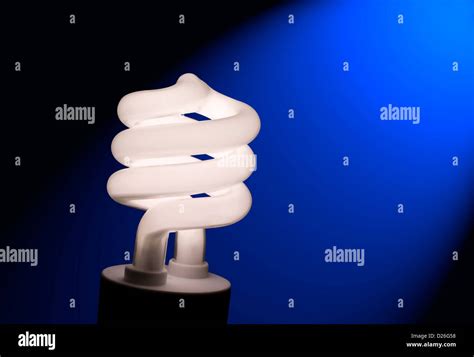 Compact Fluorescent Light Bulb Stock Photo Alamy