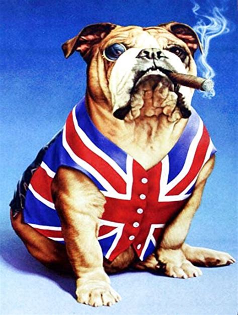 Union Jack Bulldog For Sale In Uk 74 Used Union Jack Bulldogs