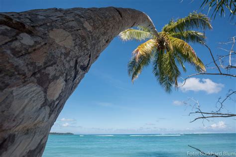 Awera Island Toska Mentawai