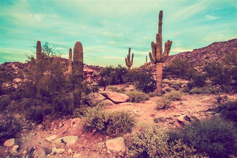 Arizona desert landscape Photo | Free Download