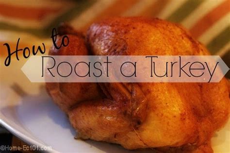 How to Roast a Turkey - Home-Ec 101