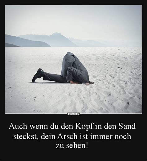 Auch Wenn Du Den Kopf In Den Sand Steckst DEBESTE De