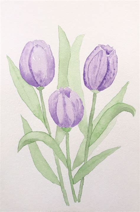 Watercolor Painting Of Three Purple Tulips With Green Leaves