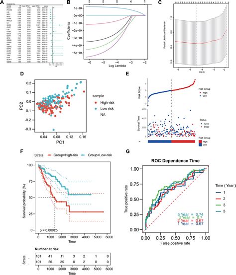 Frontiers Pyroptosis Related Genes Prognostic Model For Predicting