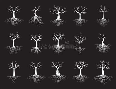 Set Of White Naked Trees On Black Background Vector Illustration And Concept Pictogram Stock