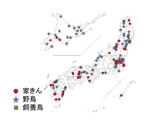 日本野鳥の会 鳥インフルエンザの最近の動向