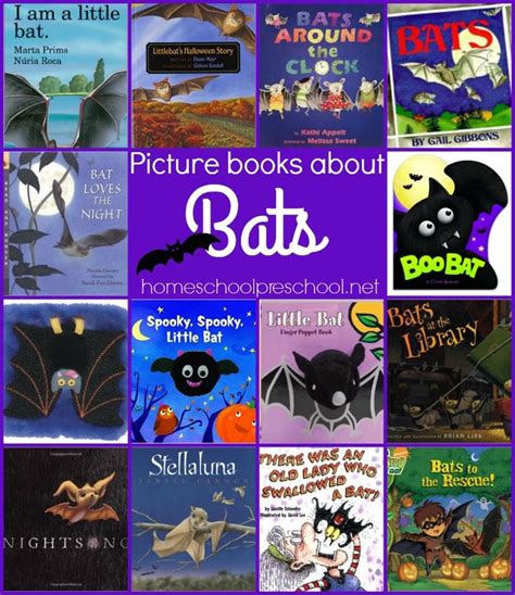 Discover The Fascinating World Of Bats With These Picture Books