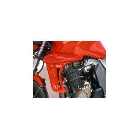 Copes De Radiateur Ermax Pour Kawasaki Z Tech Roo