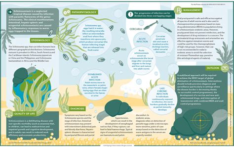 Schistosomiasis Nature Reviews Disease Primers X Mol