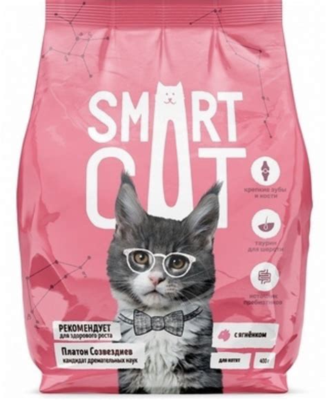 Сухой корм Smart Cat Для котят с ягненком | отзывы