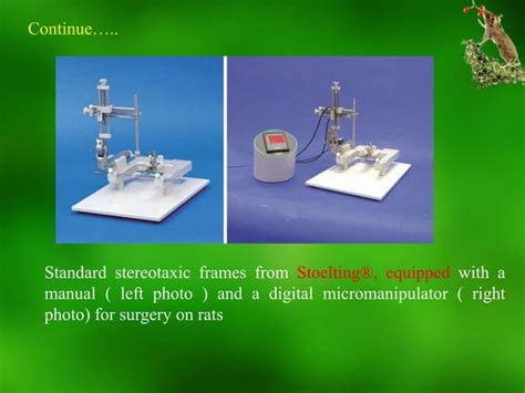 Stereotaxic atlas | PPT