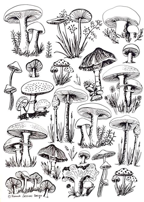 An Ink Drawing Of Different Types Of Mushrooms