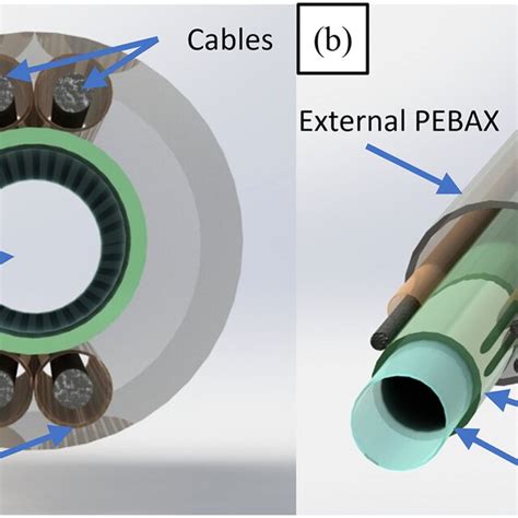 Key Component Layers Of The Multilumen Catheter A Cross Section Of Download Scientific