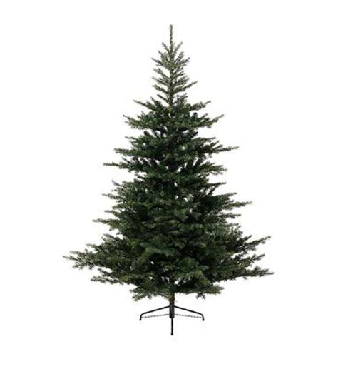 Harrods Green Grandis Fir Tree 7ft Harrods Au