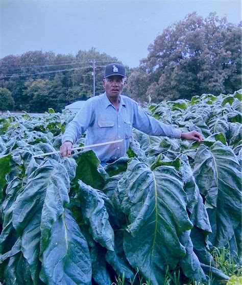 Tobacco Talks Area Growers To Recount Joys Hardships Of Tobacco Farming