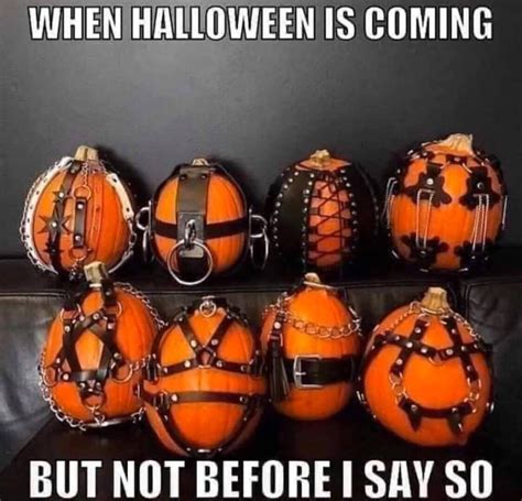 Halloween is coming : r/funny