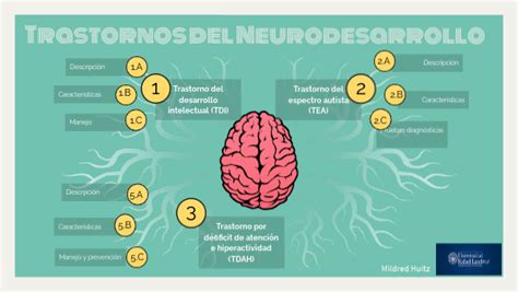 mecanógrafo Suri navegador otros trastornos del neurodesarrollo tipo