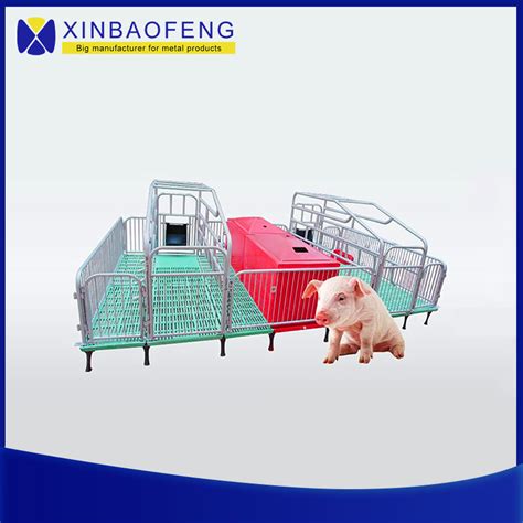 Professional Customized Sow Cage Farrowing Crate Stall Farm Project