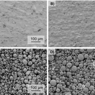 Representative Scanning Electron Micrographs Of A Unmodified OP B