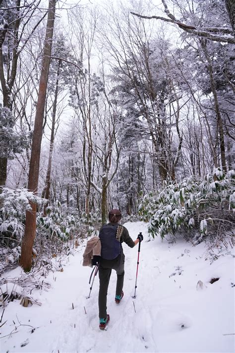 南沢山・横川山｜霧氷を求めて初冬ピストン山行