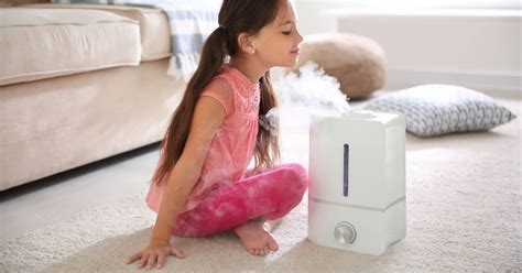 Best Small Room Humidifier 2024 For Humidifier Eda Kaylil