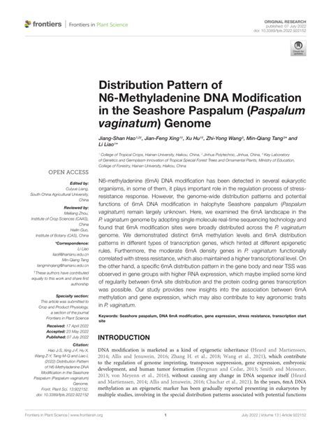 Pdf Distribution Pattern Of N6 Methyladenine Dna Modification In The