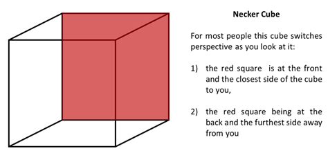 Perception Psychology And How We Understand Our World Owlcation