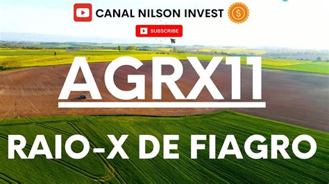 Agrx Raio X De Fiagro Exes Araguaia Qual O Veredito Ap S A