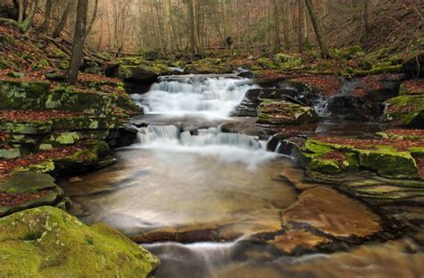 Images Gratuites Paysage Eau La Nature Roche Cascade Ruisseau