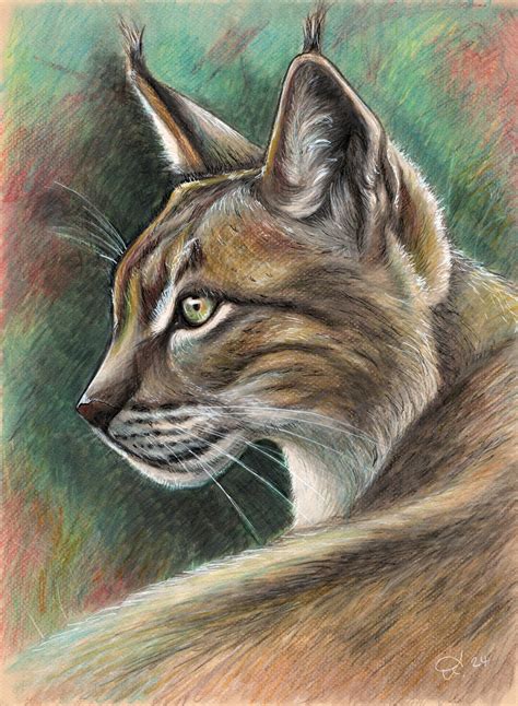 Lynx A3 Pencil Drawing - Etsy