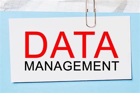 Data Management Challenges That Companies Face