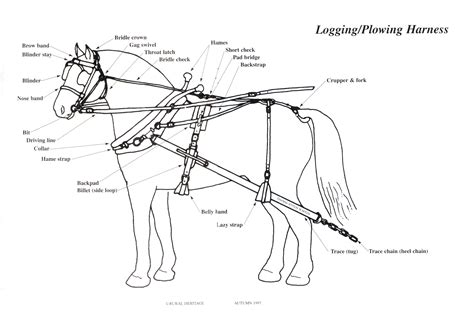 Draft Horse Harness Diagram - General Wiring Diagram