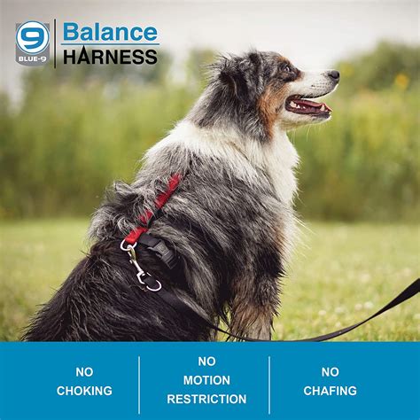 Blue 9 Balance Harness