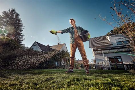 Rasen Vertikutieren HORNBACH