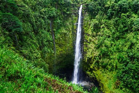 15 mejores cosas para hacer en Hilo Hawái Todo sobre viajes