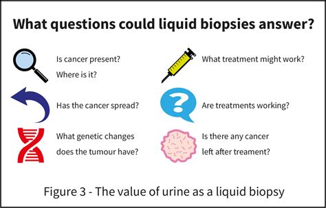 Urine The Liquid Biopsy