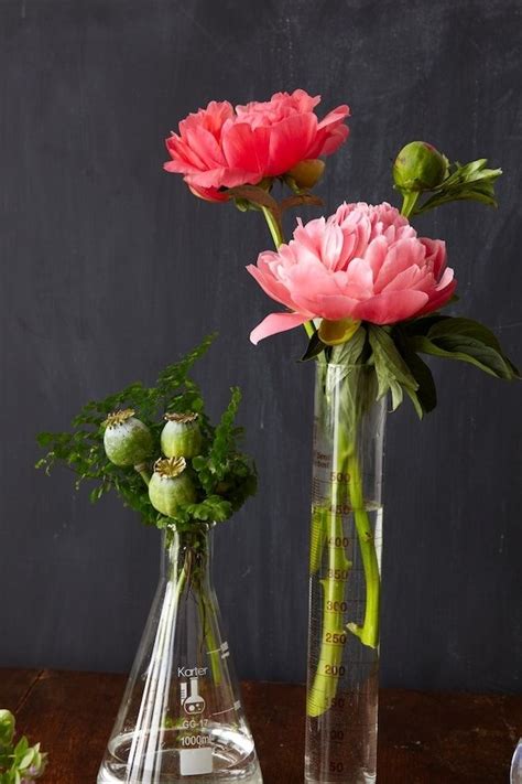 7 Tricks To Make Cut Flowers Last Longer