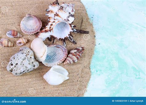 Conchas Do Mar E Seixos Na Areia Imagem De Stock Imagem De Colorido