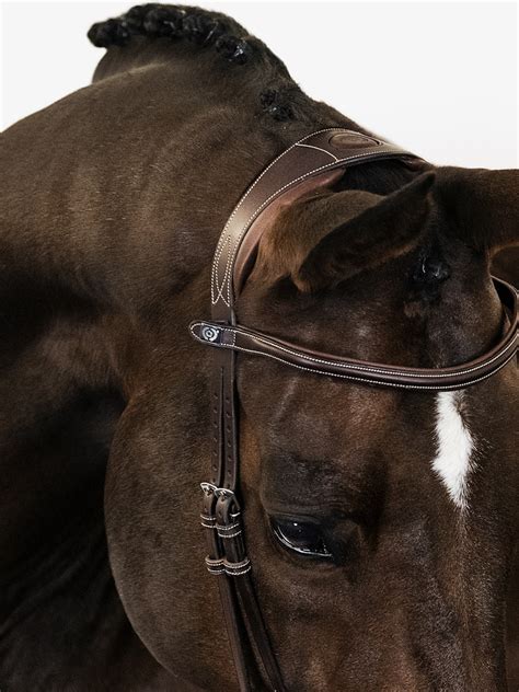 Bridle Paris • Ps Of Sweden