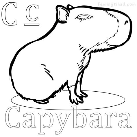 ️Capybara Coloring Page Free Download| Goodimg.co