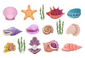 She Sells Seashells | Nursery Rhyme For Kids With Lyrics