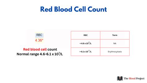 RBC Count • The Blood Project