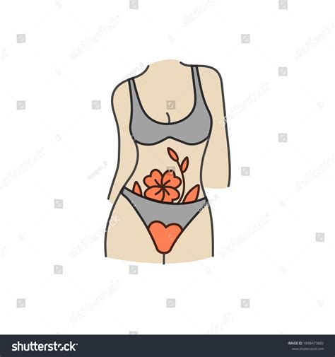 Vecvector Linear Illustration Female Body Lingerie Stock Vector Royalty Free