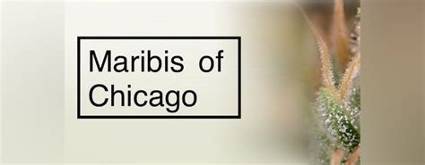 Maribis of Chicago (Medical) | Dispensary Menu, Reviews & Photos